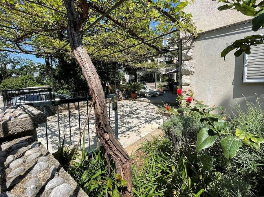 Apartment Nono Moj Dubrovnik Eksteriør billede